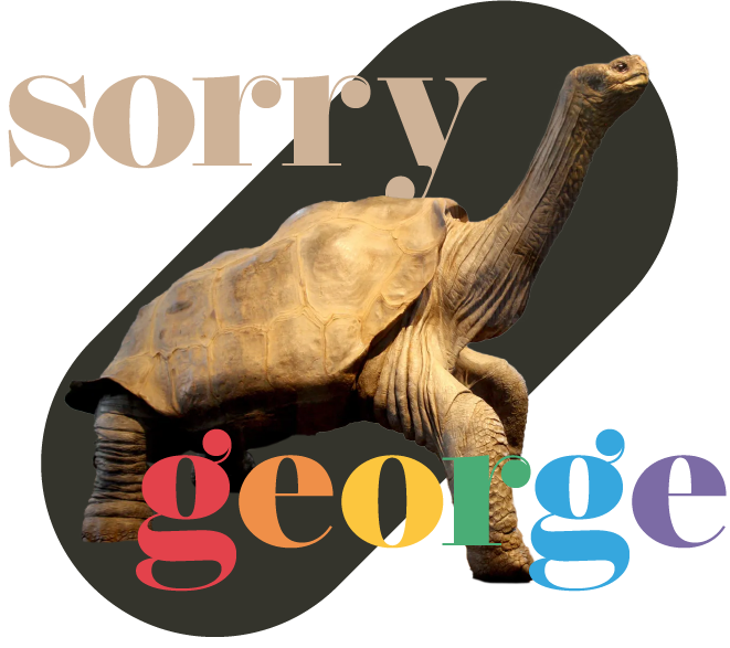 sorry george